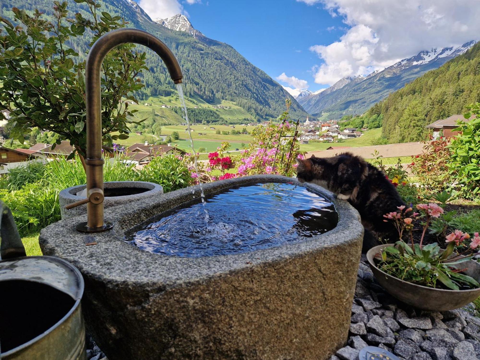 Klein&Fein Apartment Neustift im Stubaital Luaran gambar